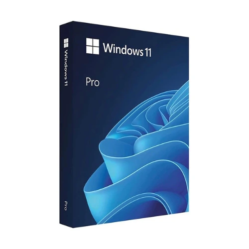 Microsoft Windows 11 Professional